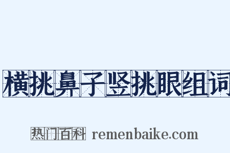横挑鼻子竖挑眼组词是什么意思的图片